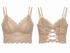 Premium Lace Padded Crop Top Sexy Bralette For Women